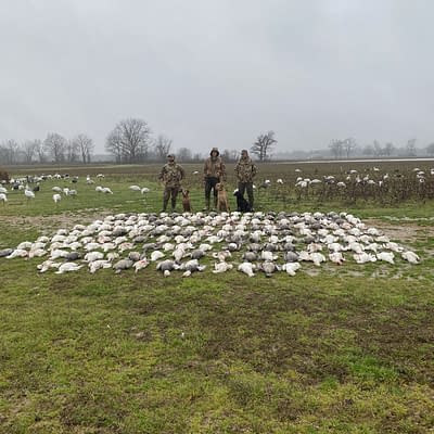 200 snowgeese, snowgoose, epic hunt, epic guide service