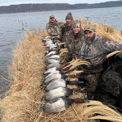 Ducks, waterfowl, waterfowl hunting, Mississippi River , canvasbacks