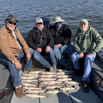 Limit of Green Bay walleyes with epic guide service