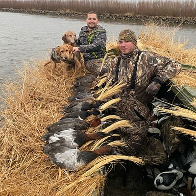 Duck hunts, duck hunting, Wisconsin, epic guide service