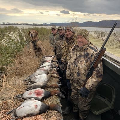 Canvasback duck, canvasback, mixed bag, waterfowl, waterfowl hunting, Mississippi River, great river, Wisconsin