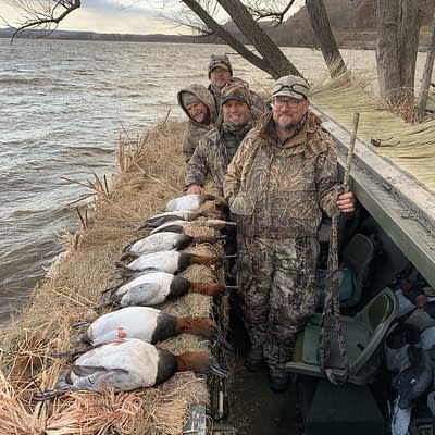 Canvasbacks, the king, trophy, wall mounter