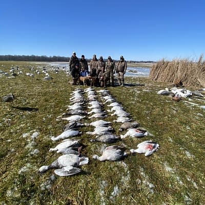 Snowgoose hunt with epic guide service in arkansas