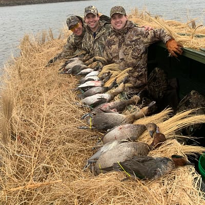 Limits, waterfowl hunting, guided duck hunt, Wisconsin, Mississippi, Mississippi flyway