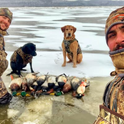 Guided hunt, ice hunt, guides, guided waterfowl hunting