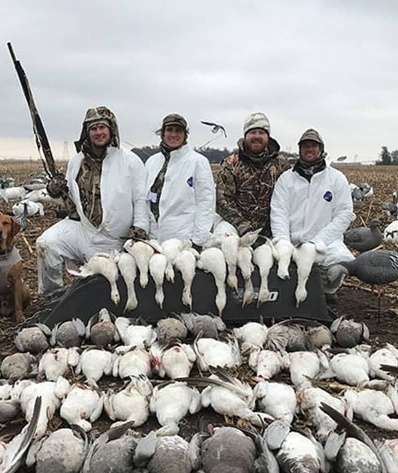 Hunting - Snow Goose Hunting