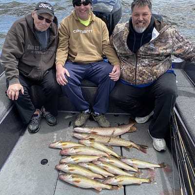 Limits of walleye on Green Bay with epic guide service in spring