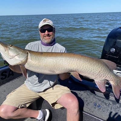 Huge Green Bay musky with epic guide service