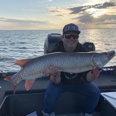 Musky fishing, guided musky fishing, casting, trophy