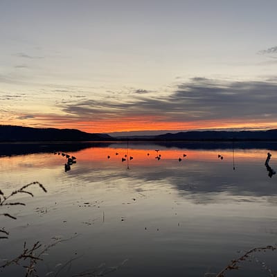 Sunrise, sunset, duck hunting