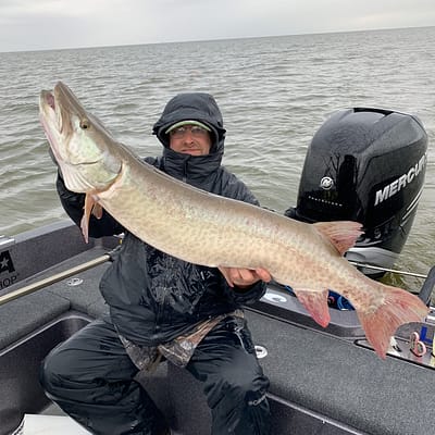 Guided musky fishing, guided musky trip, guided green bay fishing