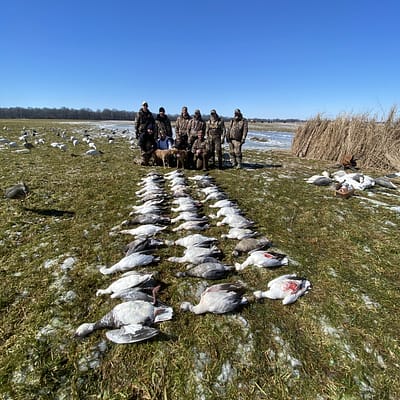Snowgoose hunt with epic guide service in arkansas