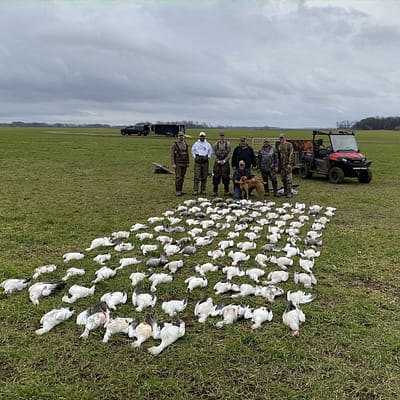 Spring Snow Goose Conservation Season Hunt