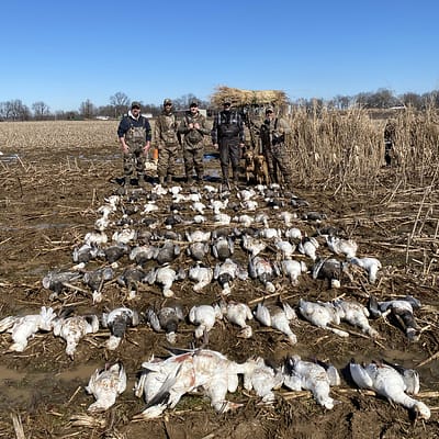 Conservation Snowgoose hunt, happy clients, corn field , arkansas