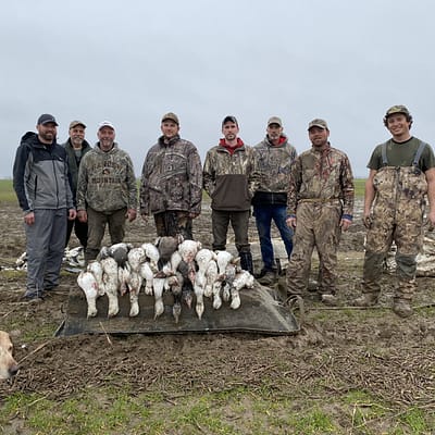 Waterfowl hunting, snowgoose hunting