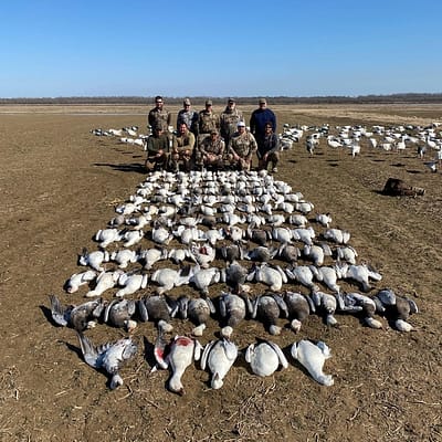 Snowgoose Hunting