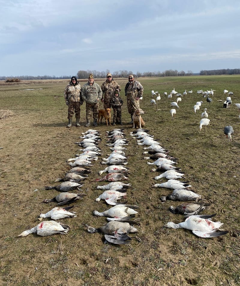 Snowgoose Hunting in Missouri